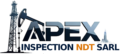 apex logo